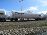 PROX 22104 is new to RRPA!